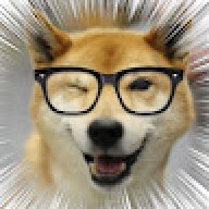 Lupus_sensei