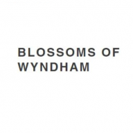 blossomofwyndham