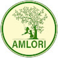 amloricreations