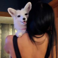 GaiaFoxInali