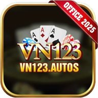 vn123autos
