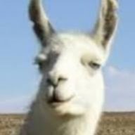 AgentLlamaProp