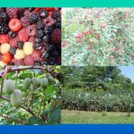 Gardens of Blessings