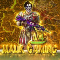 N4 Malik gaming