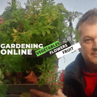 raysallotment