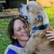 WV Pet Project