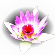 Manifestation Music