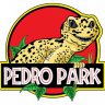 MrPedroTheGecko