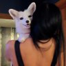 GaiaFoxInali