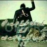 SKP Status King Pk