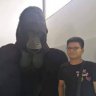 Yugez Gaming