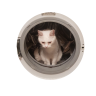Scicel69