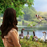 Primitivenature
