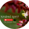 Kindredspirit