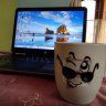 mrinal90