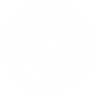 thepickledbeards