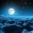 Beautiful Nights