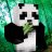 Panda Does MC