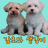 Gamcho_ginger