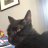 tombo