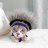 The Rockstar Cat