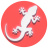 FunkyGeckos