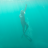Oceanchan Freediving