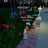 Annierobloxreal