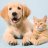 Pets Baby