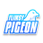 Flimsypigeon