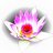Manifestation Music